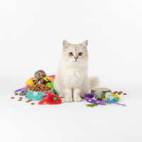 Pet Care